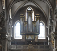 Rieger Orgel