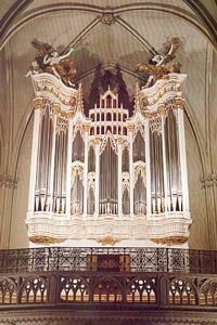Rieger Orgel